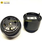 „Dingli“ pastovaus tono aliarmas DL-00000712